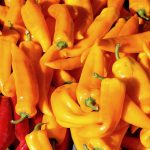 Ambalaje de unică folosință: de ce sunt încă preferate de retail și HoReCa