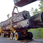 Ghid pentru taxe locale explicate simplu